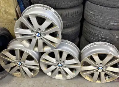 17 inch BMW rims. $150
