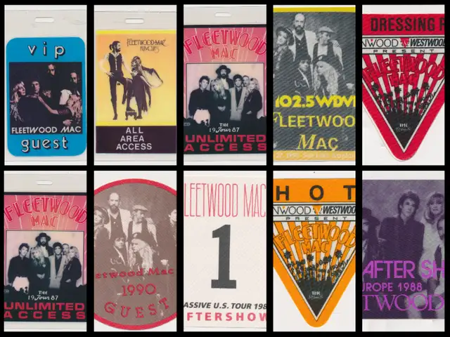 Stevie Nicks Fleetwood Mac Assorted Concert Passes NEW64744751316995120