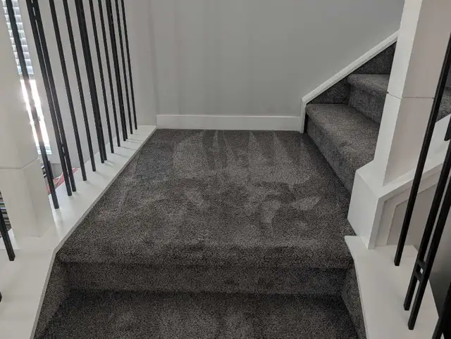 Carpet Cleaning605486184797972483