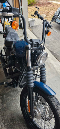2019 Harley Davidson Street Bob 