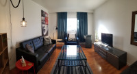 May 1st - Fully Furnished 2 bed/1bath -- In-Unit Laundry + WiFi