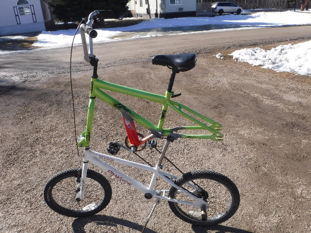 custom double BMX bike in Kids in St. Albert