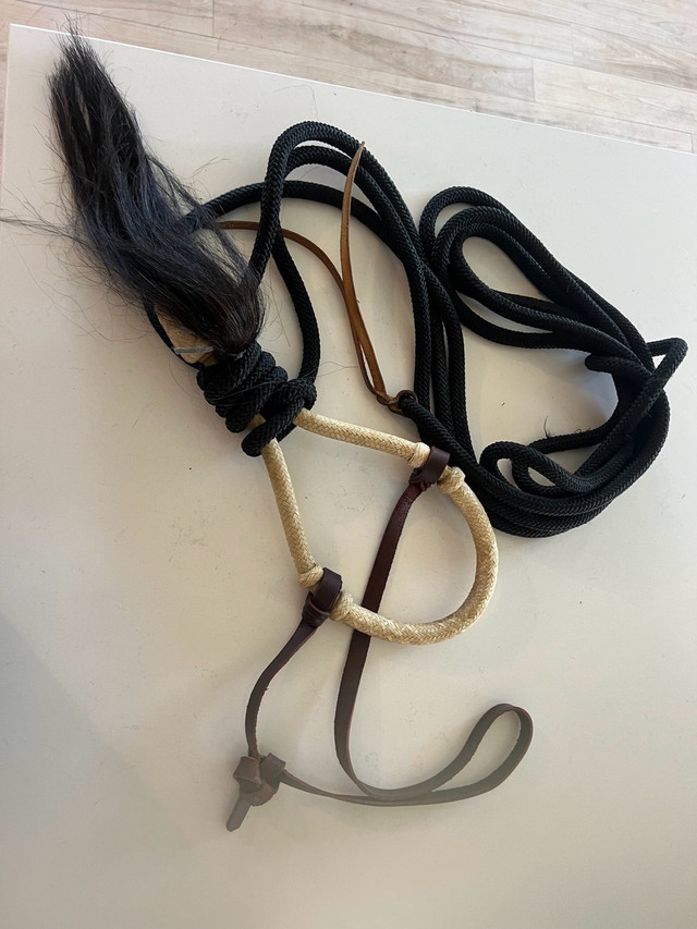 Bosal Bridle in Equestrian & Livestock Accessories in New Glasgow