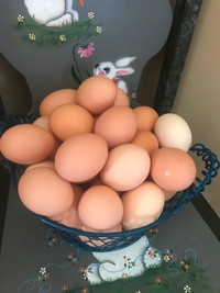 Family Farm Fresh Brown Eggs