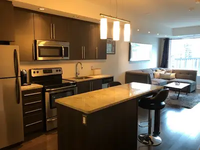 Large 1 bedroom plus den luxury condo available for rent starting in March 1, 2026, located at 238 B...