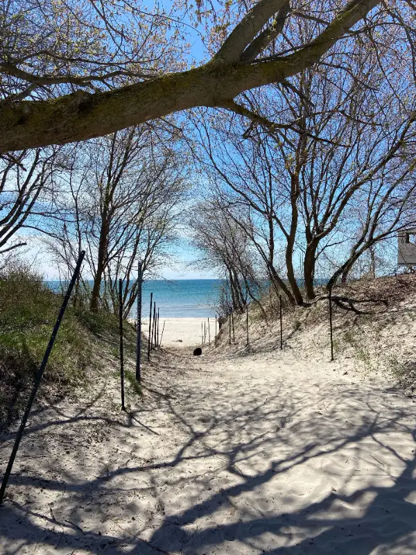 Reno’d 3 bdrm House steps to beach in Ontario in Canada - Image 11