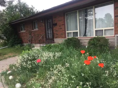 Room for rent with private living room and separate locking entrance into bedroom and living room. A...