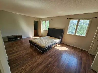 Large Room for Rent in quiet house and quiet neighborhood. Own bathroom. House is located 10 mins so...