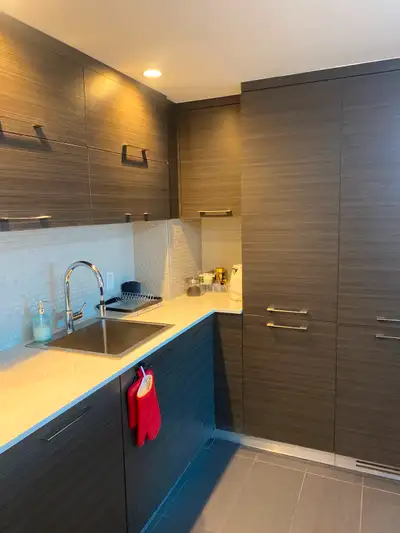 Bright spacious apartment downtown Montreal