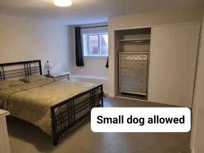 Looking for a respectful, clean, and quiet tenant to share a beautiful space in the Avalon neighbour...