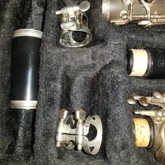 Roy Benson Clarinet in Woodwind in Oakville / Halton Region - Image 6