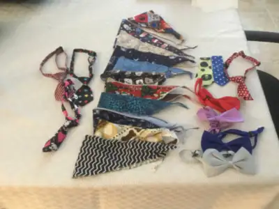 Dog accessories, View more
