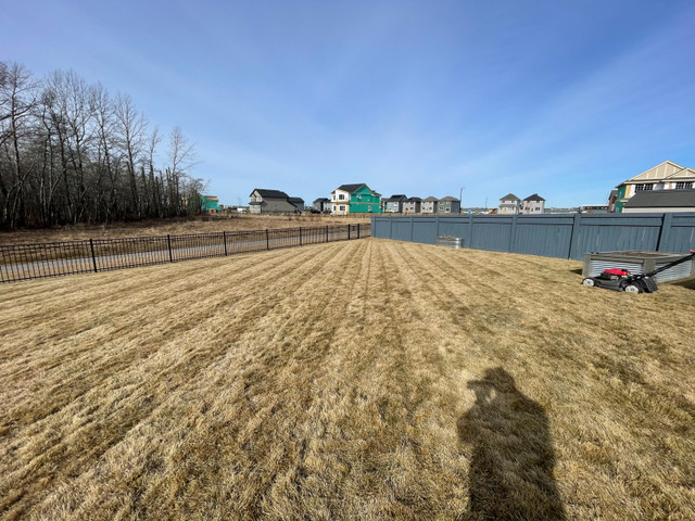 Spring clean ups/fertilizer 7806194907 in Lawn, Tree Maintenance & Eavestrough in Strathcona County - Image 3