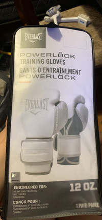 Everlast boxing gloves 