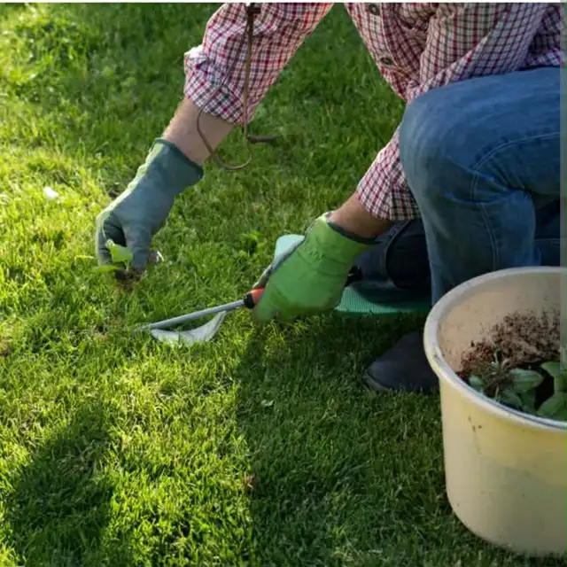 lawn care grass cut in Lawn, Tree Maintenance & Eavestrough in Windsor Region - Image 6