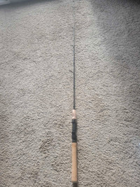 Rapala  med  heavy  fishing  rod  MG 20SP49MH2 