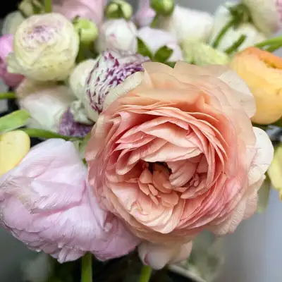 Wedding & Event Flowers, View more