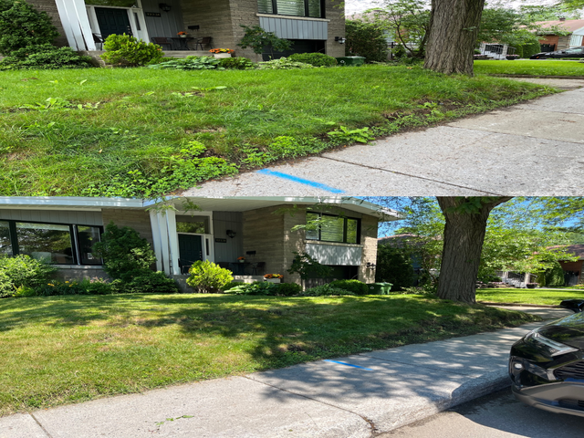 Aménagement paysager – Laval, Montréal et les environs in Other in Laval / North Shore - Image 4