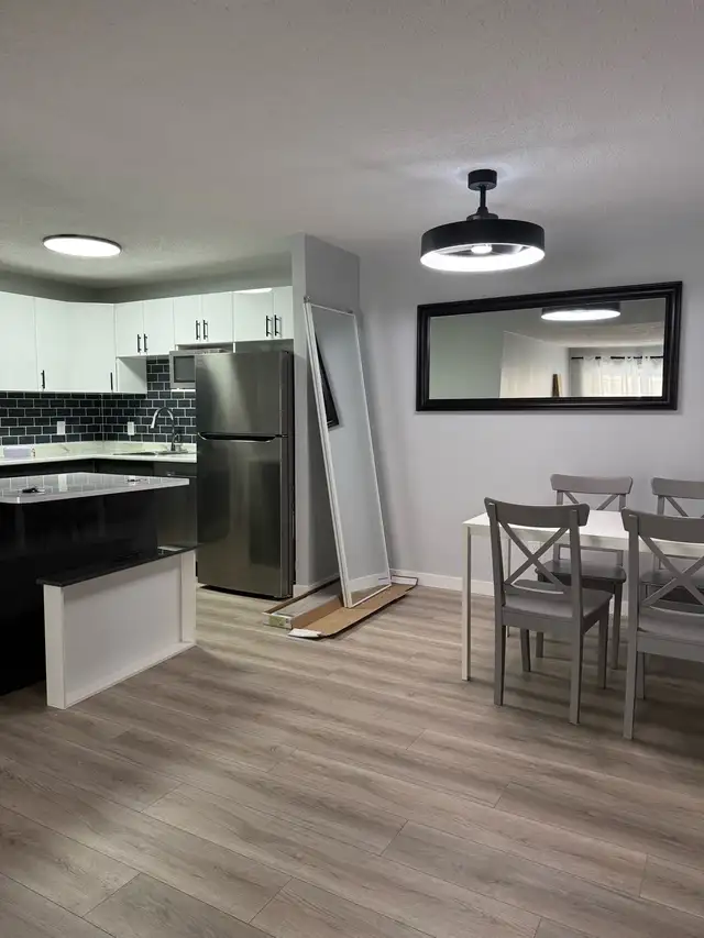 Renovation491796813652971523