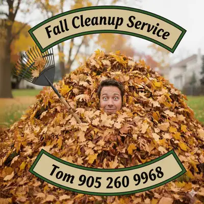 Seasonal Cleanups - Cedar Trees - Interlock Repairs, View more