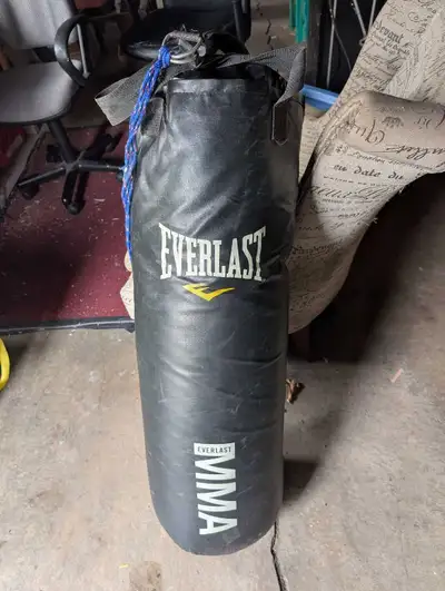 Everlast MMA Punching Bag and Gloves, View more
