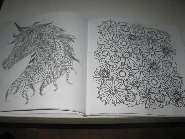 Album à colorier  et Mandala - 3 in Hobbies & Crafts in Québec City - Image 5