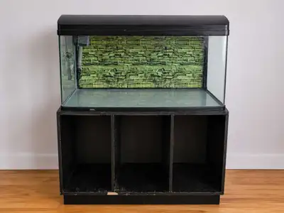 Aquarium 60 gallons avec accessoires, View more