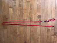 Red Dog Leash and Collar (5’ Length) 
