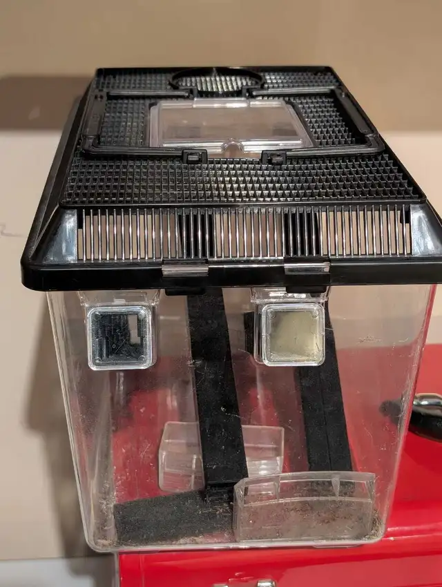 Reptile Transparent Cricket Keeper in Accessories in Saskatoon - Image 3