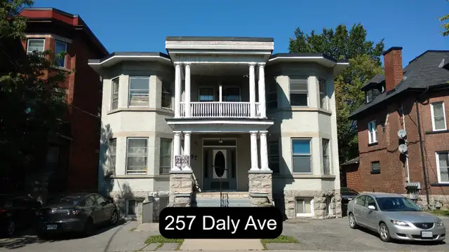 Sandy Hill Basement Bachelor/Studio Apartment (257 Daly Ave)