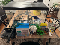 20 gallon fish tank