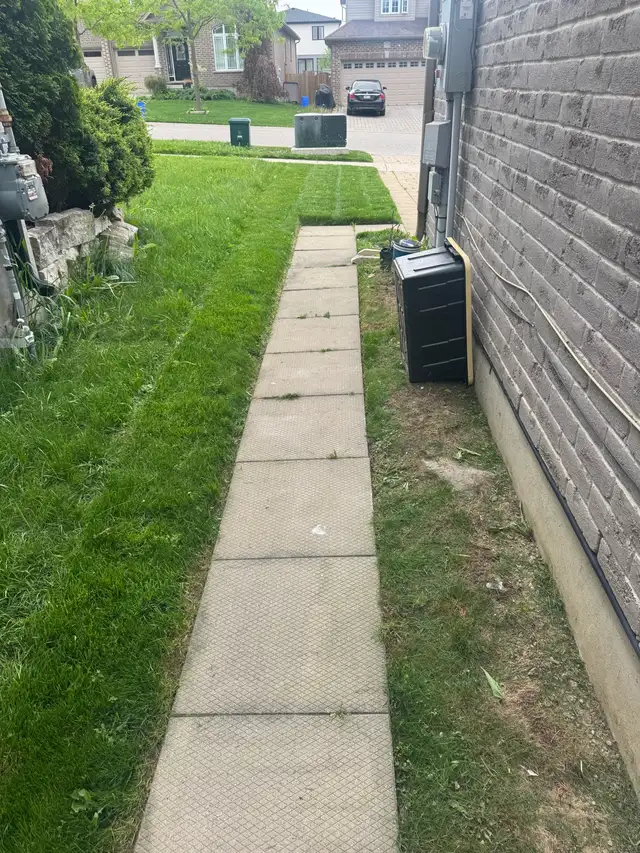 Grass Cutting529384748247296003