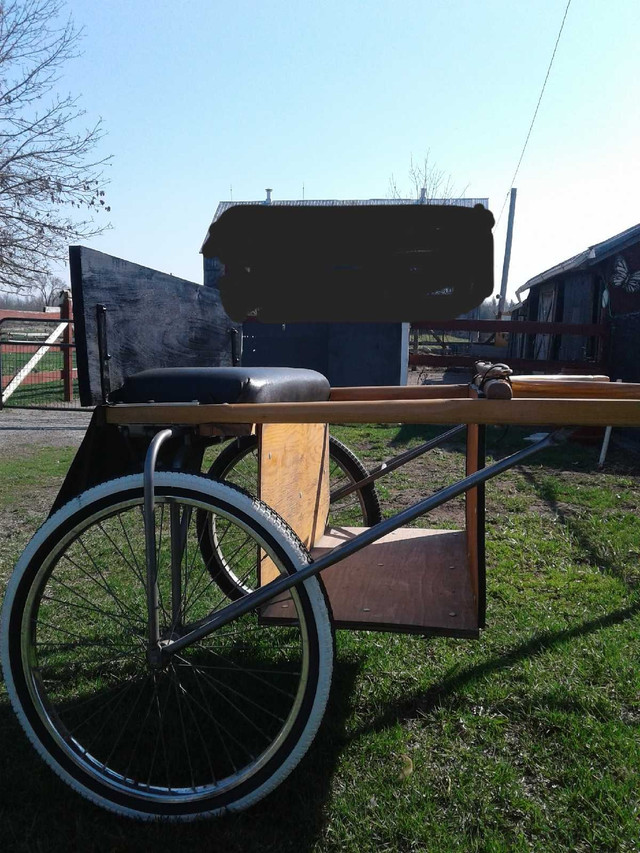HORSE CART FOR SALE in Other in Belleville