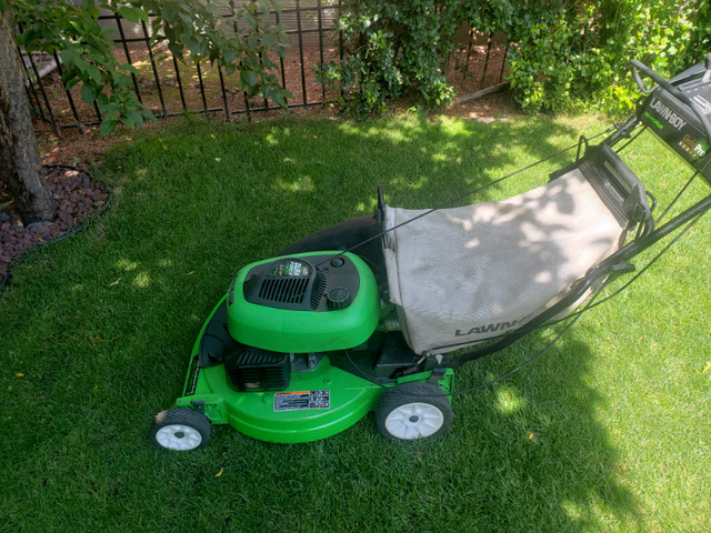 Lawn boy gold series 4.5 hp hot sale