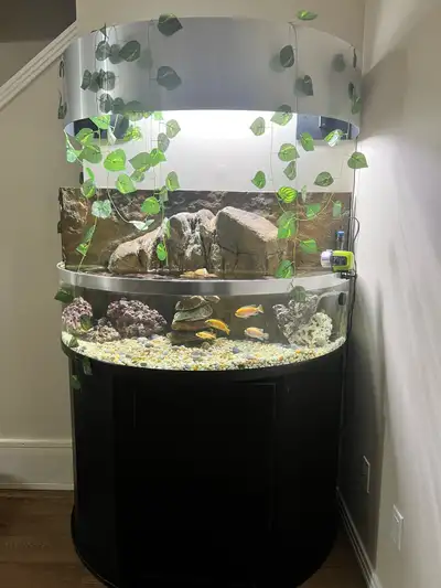 Super high end aquarium with all high end accessories , View more