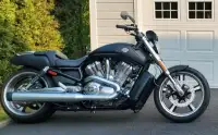 Harley Davidson V-Rod  muscle