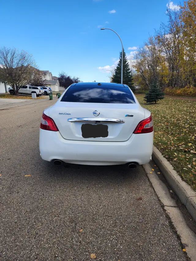 2011 Nissan Maxima SV Premium606387616320081923