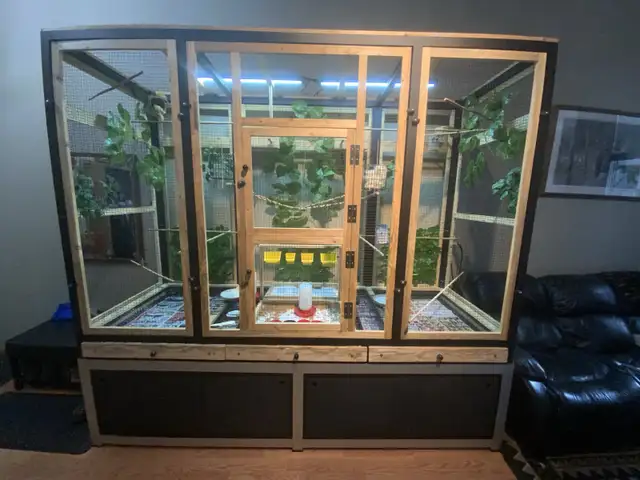 Large Aviary, Birds and Supplies! in Birds for Rehoming in Lethbridge - Image 2