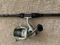 Spinning Rod Combo
