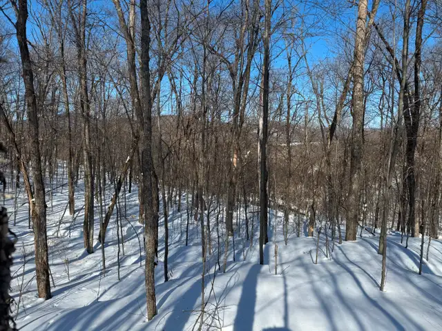 Terrain à vendre, Lac Supérieur Tremblant in Land for Sale in Laval / North Shore - Image 6
