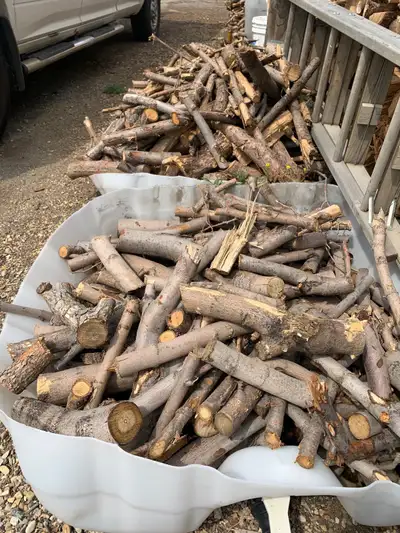 Mixed firewood, Cedar,maple,spruce,pine,poplar. 3” and down by 12” long smaller pieces of firewood g...