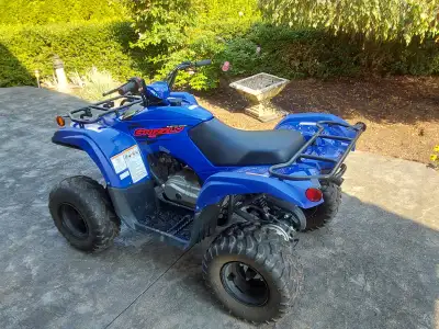 2021 Yamaha Grizzly 90. Low Hours. In very good condition. Stored in garage when not in use. $3400.0...