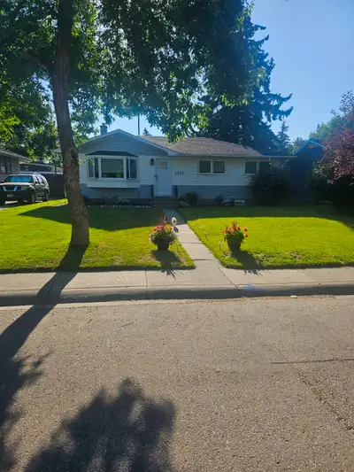 One bedroom basement suite that very clean and freshly painted. Has great little kitchen. Bathroom i...