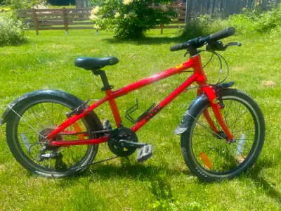 Frog 55 (20") hybrid kids bike, View more