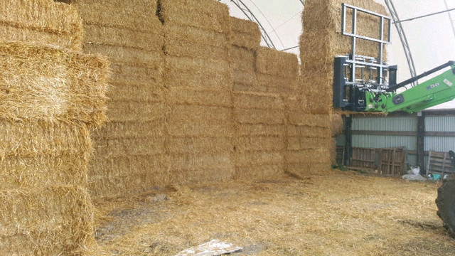 Straw for sale  in Livestock in North Bay - Image 2