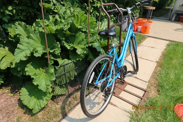 Ladies Norco Bike in Road in Edmonton - Image 8