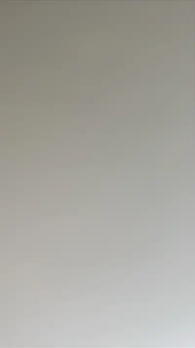 toro leaf blower, View more