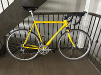 Cannondale CAAD3 Silk Road 500 Road Bike (58cm Frame)