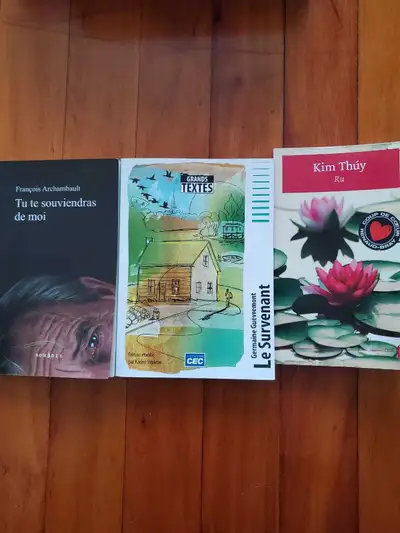Livres de français cégep, View more
