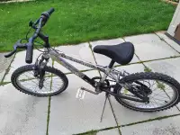 20' Bike